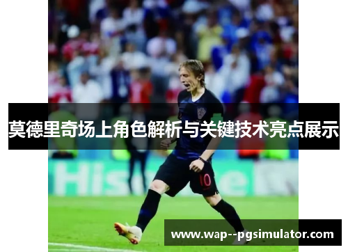 莫德里奇场上角色解析与关键技术亮点展示