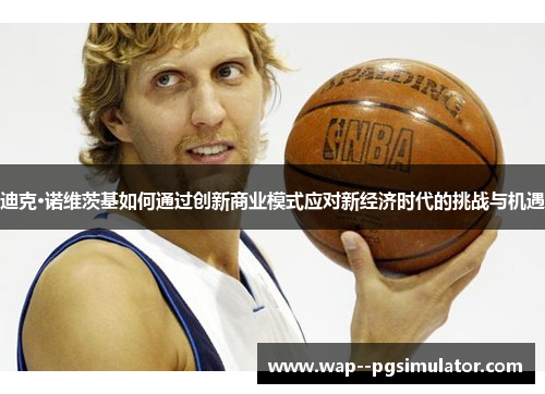 迪克·诺维茨基如何通过创新商业模式应对新经济时代的挑战与机遇