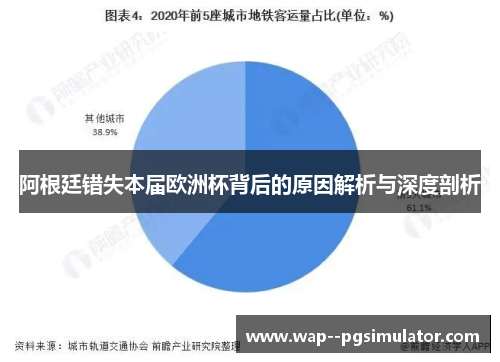 阿根廷错失本届欧洲杯背后的原因解析与深度剖析