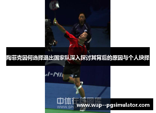 陶菲克因何选择退出国家队深入探讨其背后的原因与个人抉择 陶菲克因何选择退出国家队深入探讨其背后的原因与个人抉择