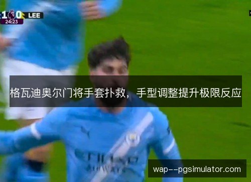 格瓦迪奥尔门将手套扑救,手型调整提升极限反应 格瓦迪奥尔门将手套扑救,手型调整提升极限反应
